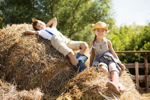 Foto: Zwei Kinder auf einem Heuhaufen