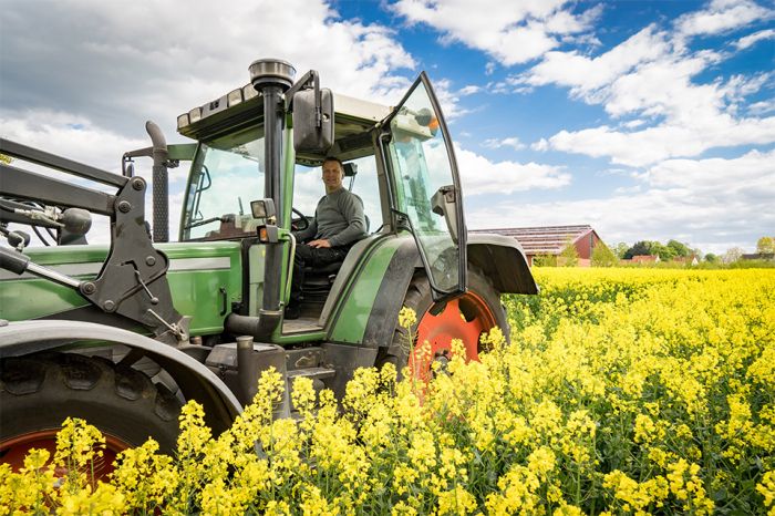 Foto: Traktor auf Feld